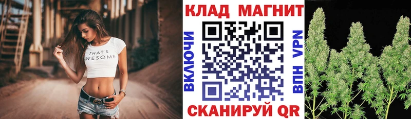 Как найти наркотики Новоалександровск СК  КОКАИН  ГАШИШ  Псилоцибиновые грибы  Каннабис 