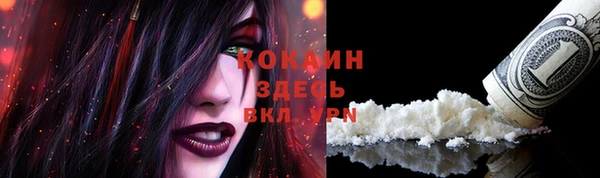 шишки Арсеньев