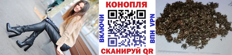 Канабис план  это Telegram  Новоалександровск  купить закладку 